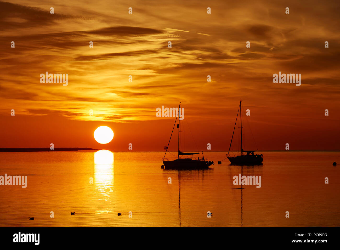 Swale estuario, Kent, Regno Unito. 1 agosto 2018: Regno Unito Meteo. Un ardente per iniziare la giornata come sunrise araldi temperature nella metà degli anni venti. I prossimi giorni potrebbero vedere 30°C nuovamente in alcune parti del paese e a pochi chilometri da qui Faversham ha visto la temperatura massima di quest'anno a 35,5°C la settimana scorsa e i paesi registrano i più alti in assoluto di 38,5°C in agosto 2003. Credito: Alan Payton/Alamy Live News Foto Stock