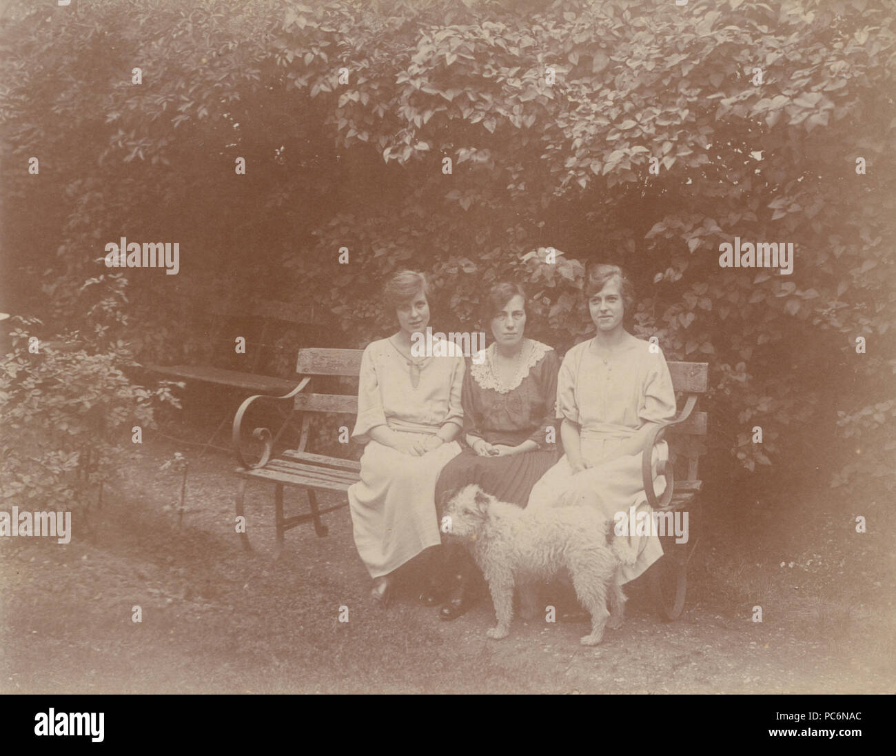 Vintage Fotografia di tre Signore seduto su una panchina con il loro cane in giardino a Forest Hill. Foto Stock