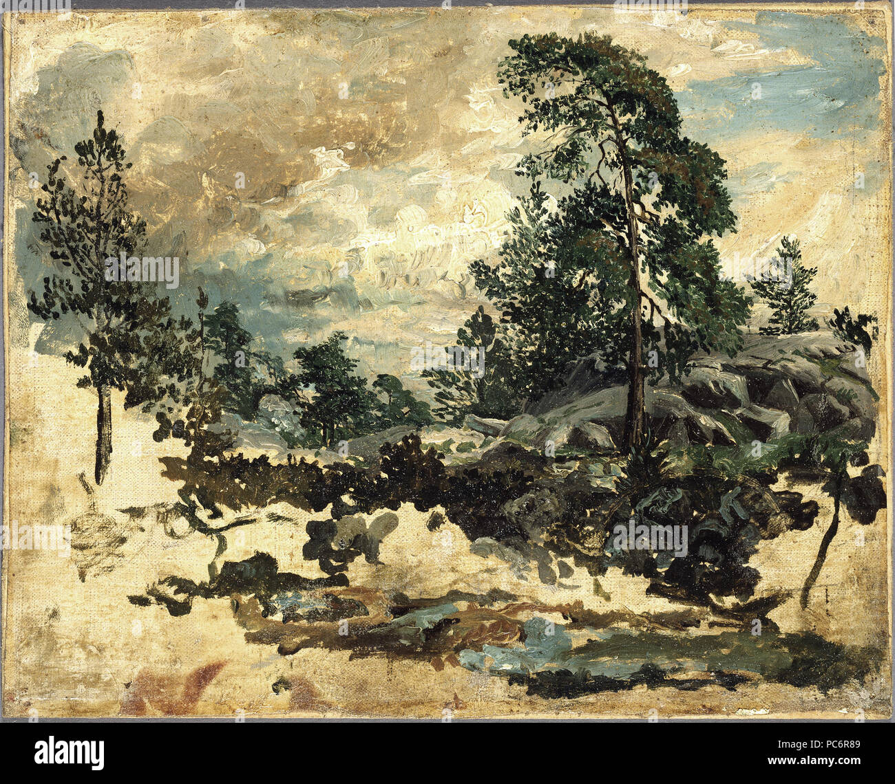 84 Studio di terreno (Kilian Zoll) - Nationalmuseum - 20934 Foto Stock