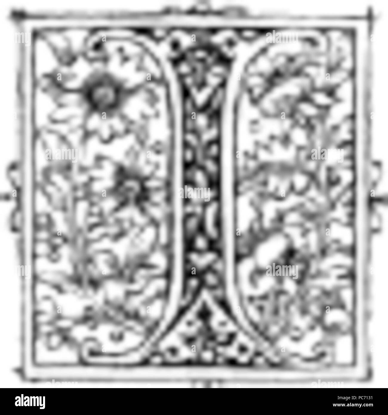 33 Fancy lettera I Foto Stock