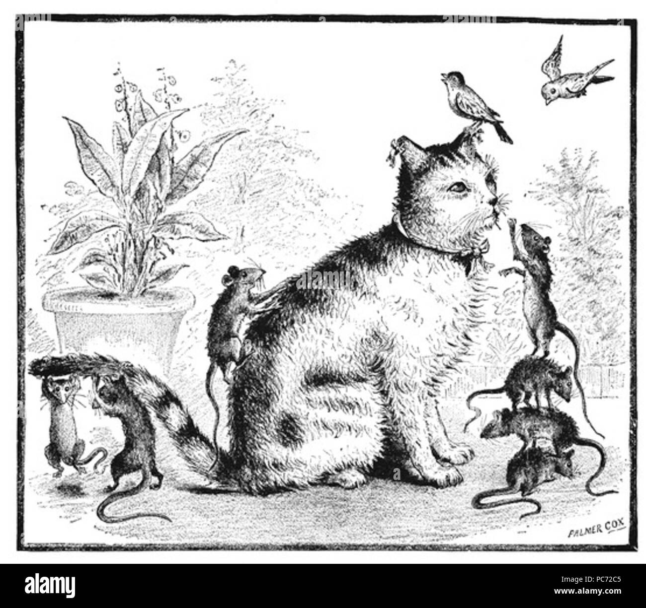 57 Gatto pigro disegno Foto Stock