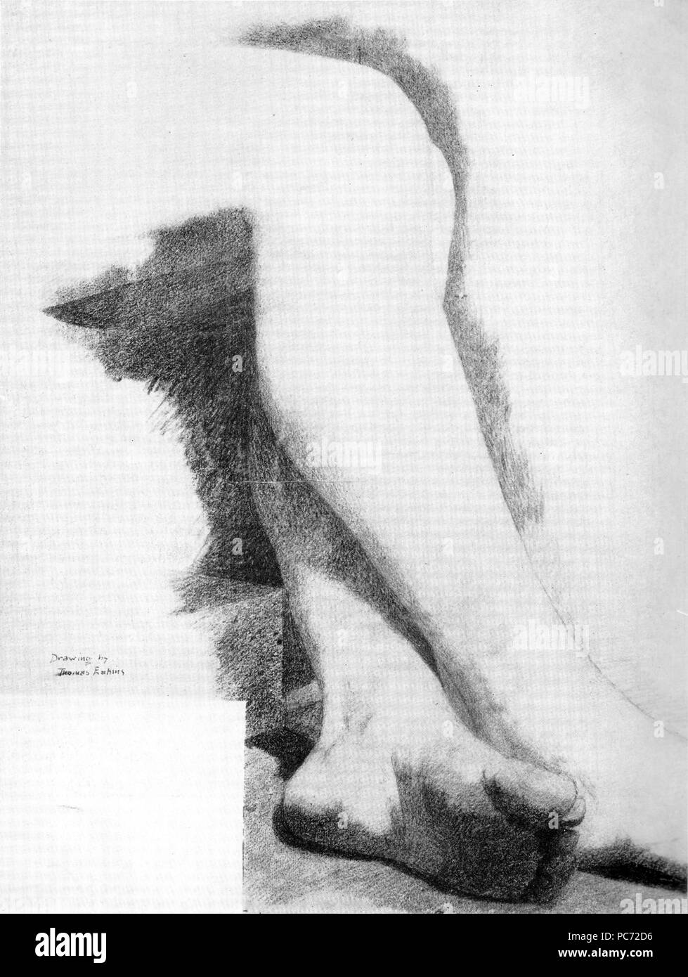 57 le gambe di un seduto modello G11 Foto Stock