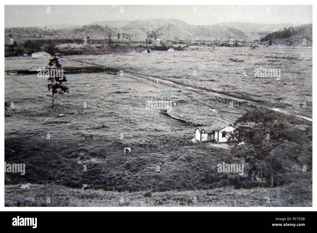 663 Área desfloresta n. B. Veneza, Ipatinga MG Foto Stock