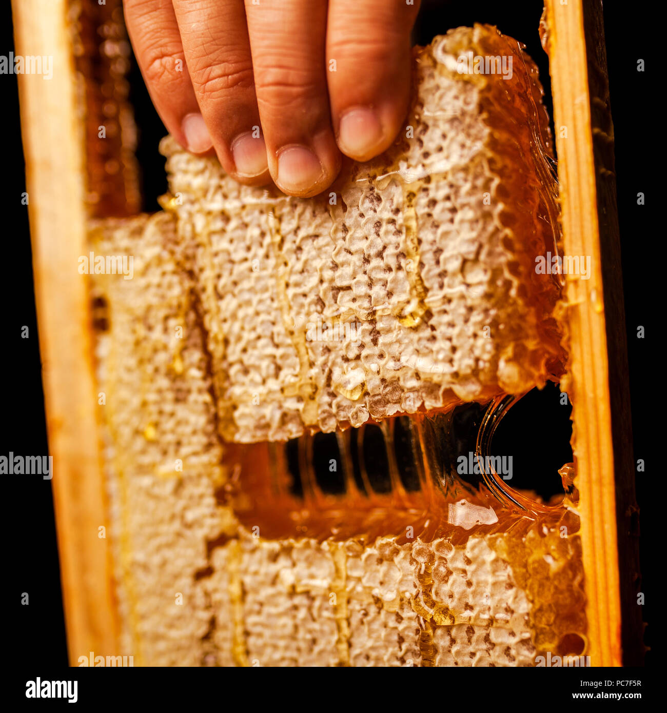 Favo di miele in una cornice di legno tagliato in pezzi Foto Stock