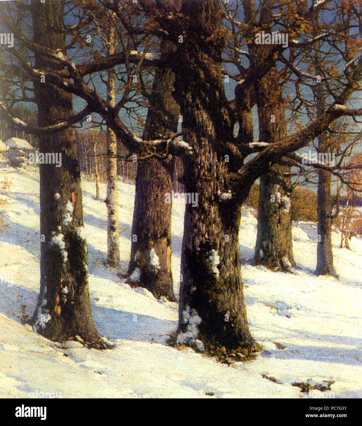 345 KonstantinKryzhitsky Querce Foto Stock