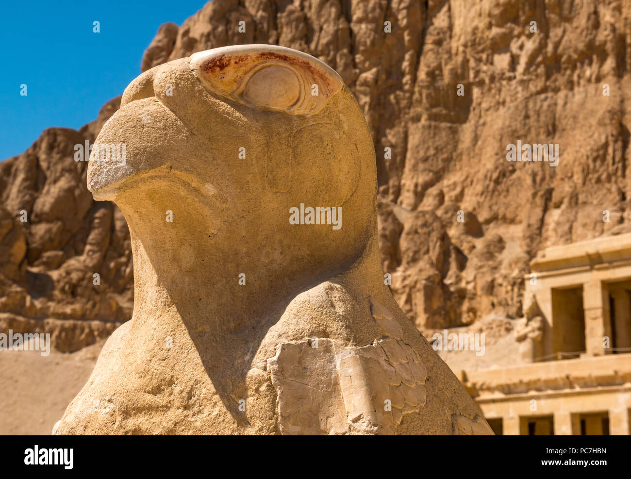 Close up di pietra scolpita simbolo egizio statua di Horus come un falco, Tempio mortuario di Hatshepsut, Valle dei Re, Luxor, Egitto, Africa Foto Stock