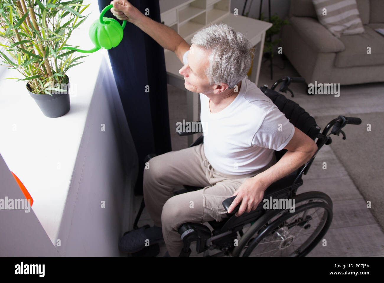 Uomo in sedia a rotelle impianto di irrigazione sulla finestra vendere. Immagine di uomo più anziano di raggiungere ad acqua la sua pianta di casa dalla sua sedia a rotelle presi da un angolo alto. Foto Stock