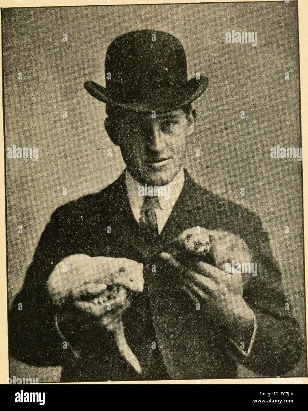 "Ferret fatti e le fantasie; un libro di istruzioni pratiche sull'allevamento, di sollevamento e di movimentazione e vendita; inoltre, del loro utilizzo e del loro valore in pelliccia" (1915) Foto Stock