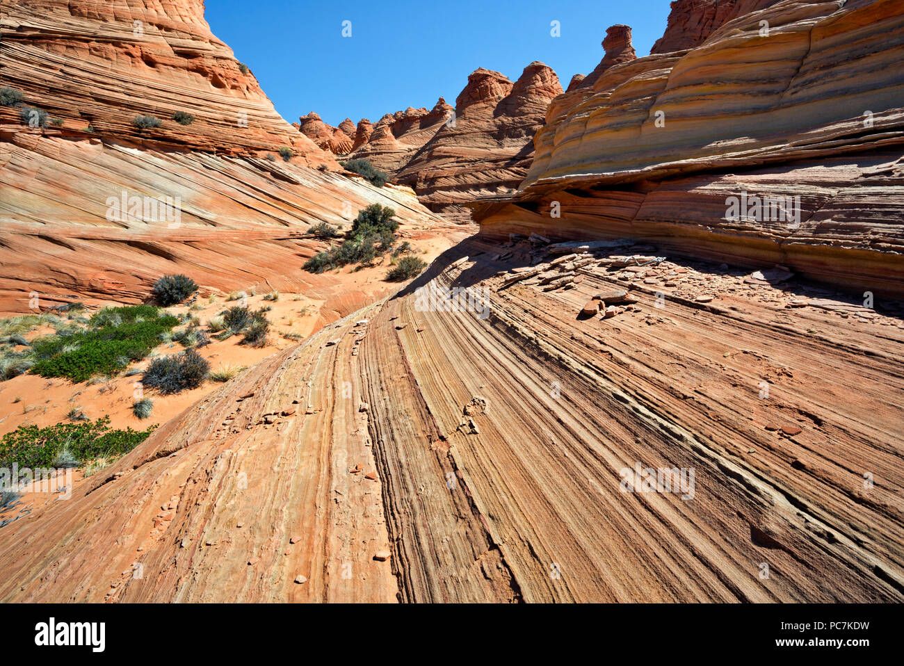 AZ00197-00...ARIZONA - gli strati e formazioni di arenaria beneigth una parete e rabboccato con buttes nella sezione sud dell'Coyote Buttes, parte del P Foto Stock