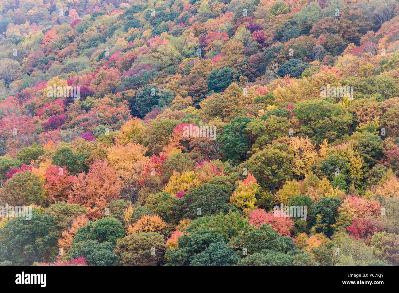 North Carolina, Stati Uniti d'America. Scenario autunnale nel Parco Nazionale di Great Smoky Mountains. UNESCO - Sito Patrimonio dell'umanità. Foto Stock