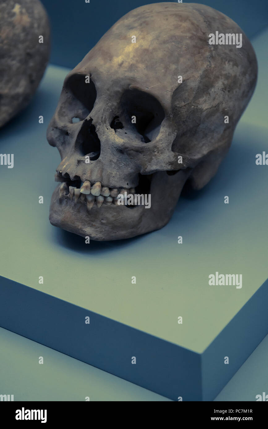 Scull umano, il museo Amparo, Puebla, città in Est-Messico centrale Foto Stock