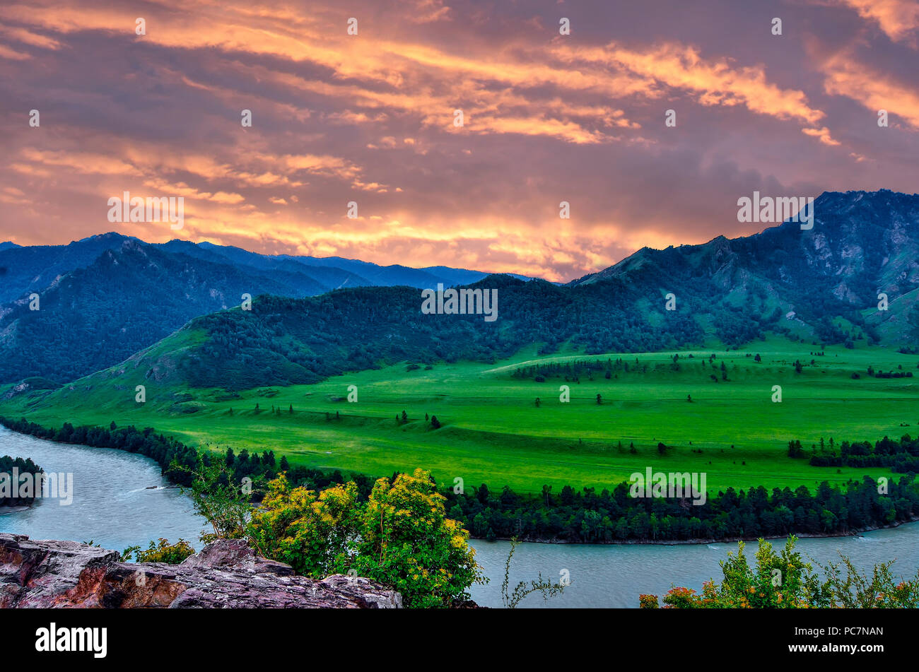 Rosa su crepuscolo turchese fiume di montagna la Katun al tramonto - bella serata estiva, paesaggio montagne di Altai, Russia. Magica bellezza della natura Foto Stock