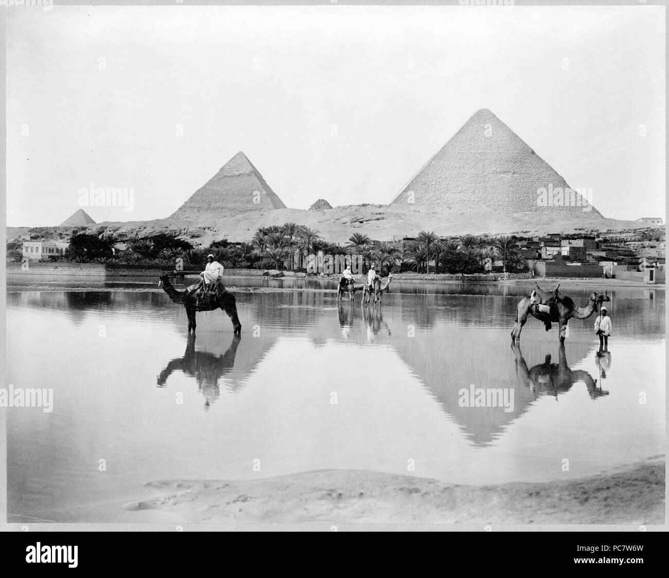La foto mostra gli uomini sui cammelli e un uomo in piedi accanto a un cammello Nello shallow acqua di inondazione, con piramidi sullo sfondo, in Egitto. 1890-1900 Foto Stock