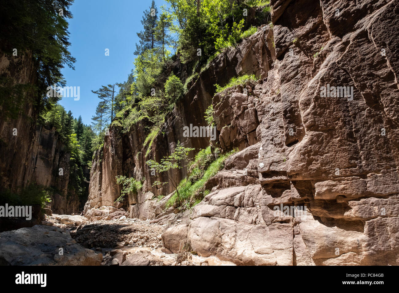 Canyon del Rio Bletterbach, Bletterbach Geopark, Aldein-Radein, Alto Adige, Italia Foto Stock