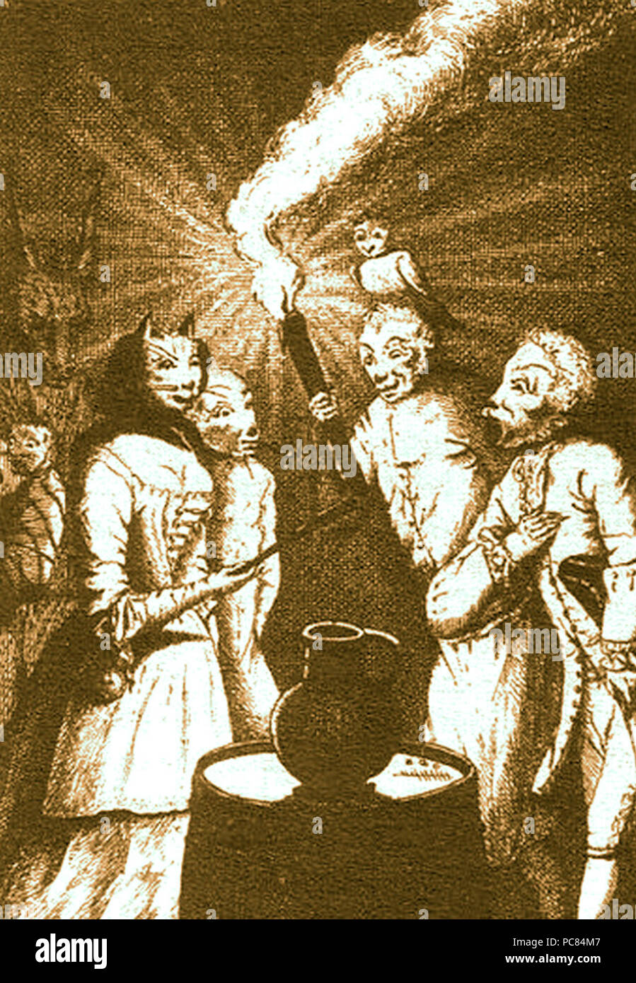 543 Santo Gato Foto Stock