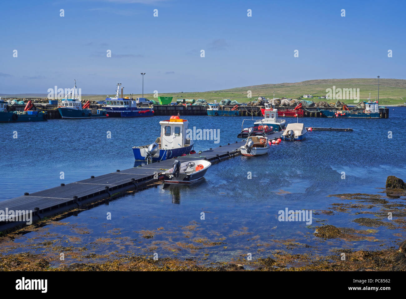 La piscicoltura barche da lavoro nel porto di Uyeasound sull'isola di Unst, isole Shetland, Scotland, Regno Unito Foto Stock