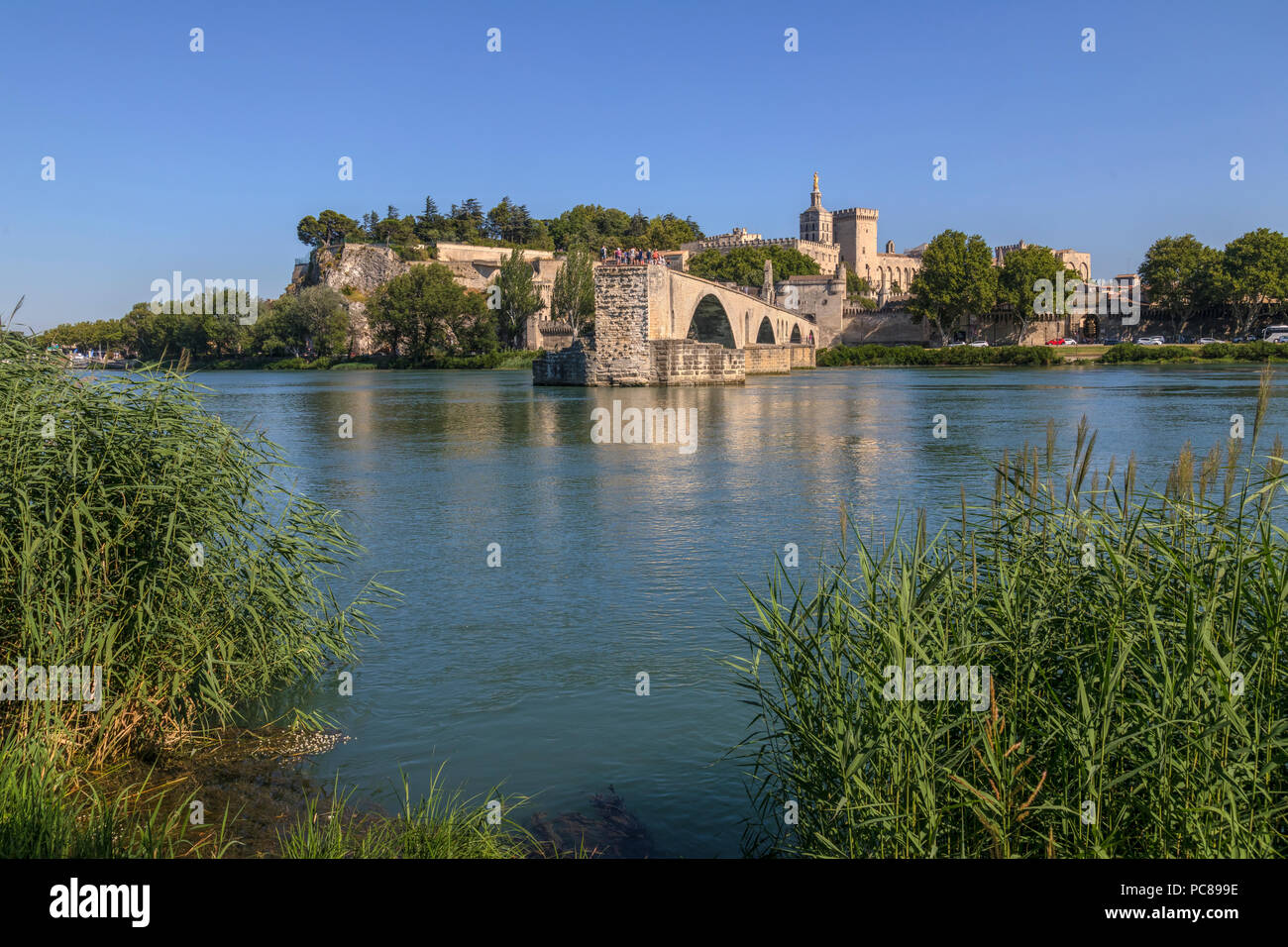 Avignon Vaucluse Provence, Francia Foto Stock