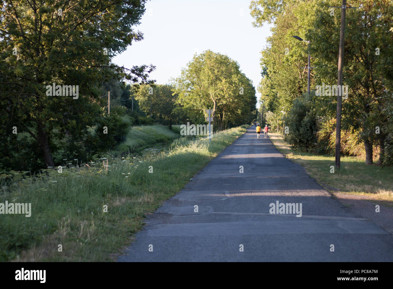 Valencinnes cammina nel parco Foto Stock