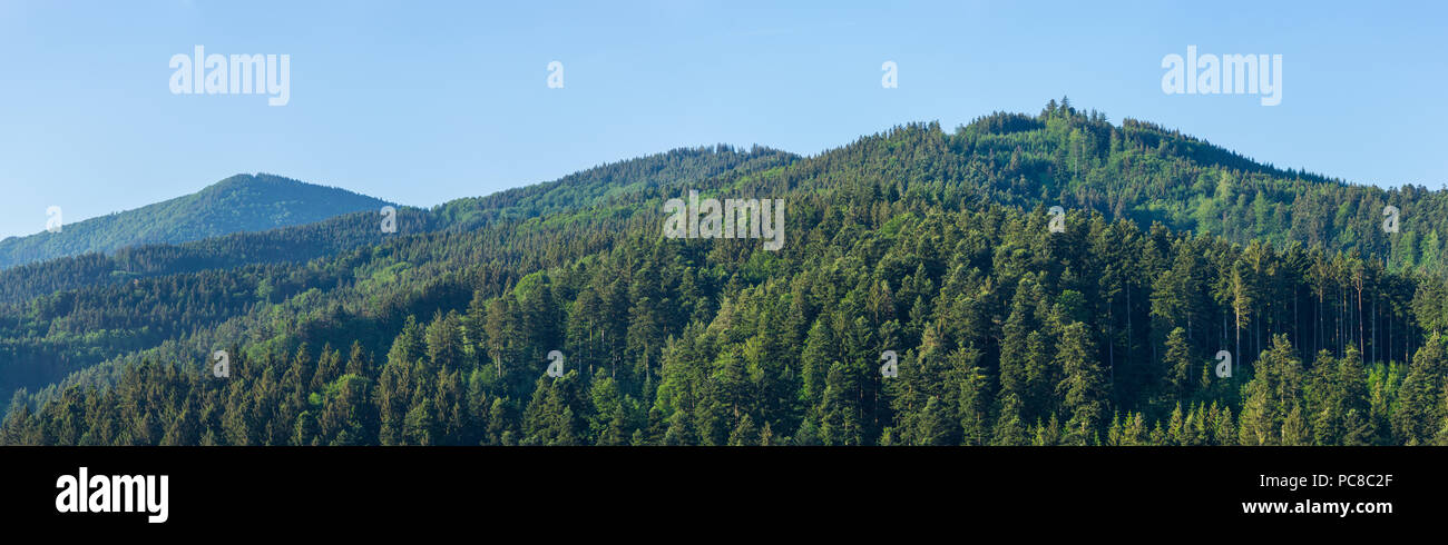 Germania, XXL foresta nera panorama del paesaggio con cielo blu Foto Stock