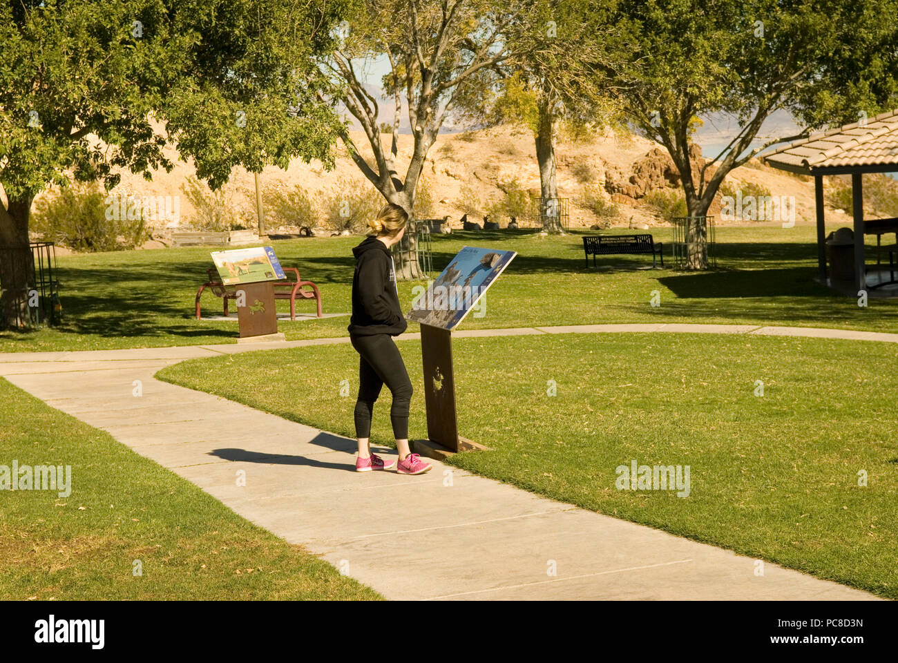 La donna legge informazioni segno a Hemenway Park a Boulder City Nevada USA Foto Stock