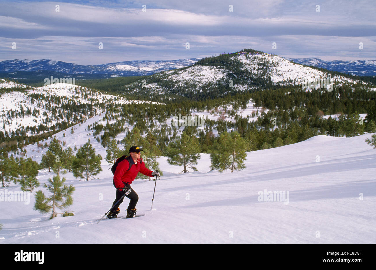Escursioni con le racchette da neve in neve fresca. Foto Stock