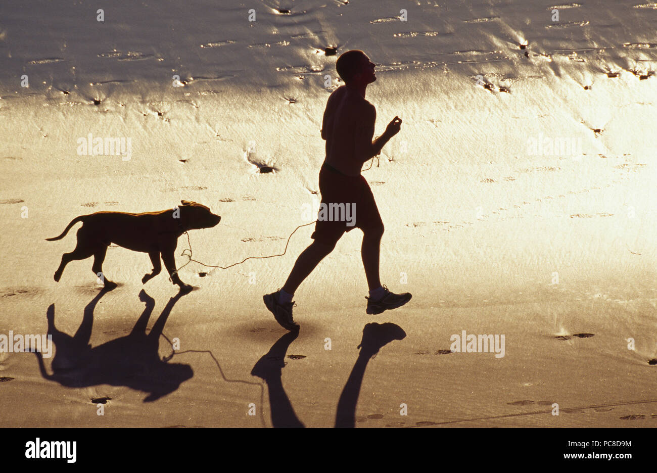 Un uomo jogging sulla spiaggia con il suo cane. Foto Stock