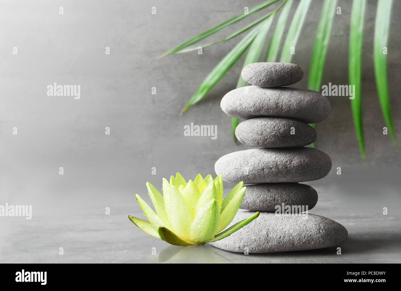 Pietre, Bilanciamento Bianco fiore di lotus e verde foglia di palma. Zen e concetto di spa. Foto Stock