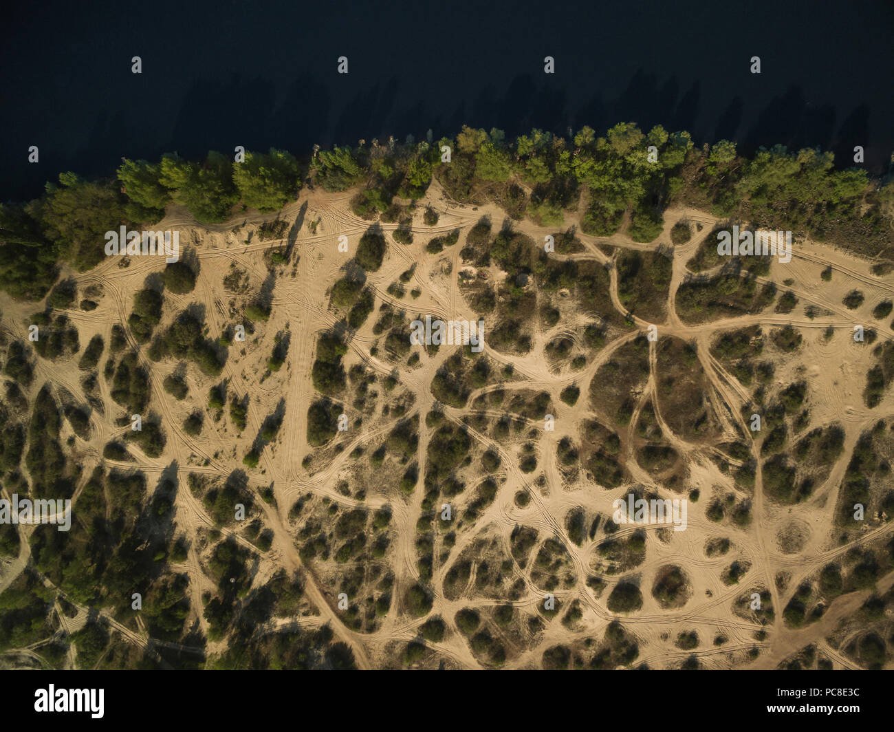 Vista aerea di alberi e cespugli di sabbia sul fiume Foto Stock