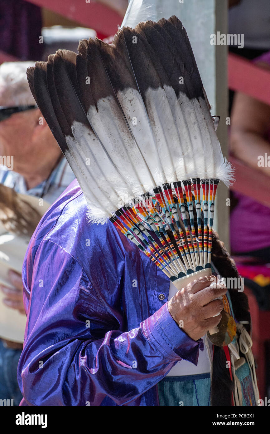 Ballerini aborigeni alla cerimonia del Grand Entrance che entra nel Beaver Dome.Tsuut'ina Nation's Powwow. Foto Stock