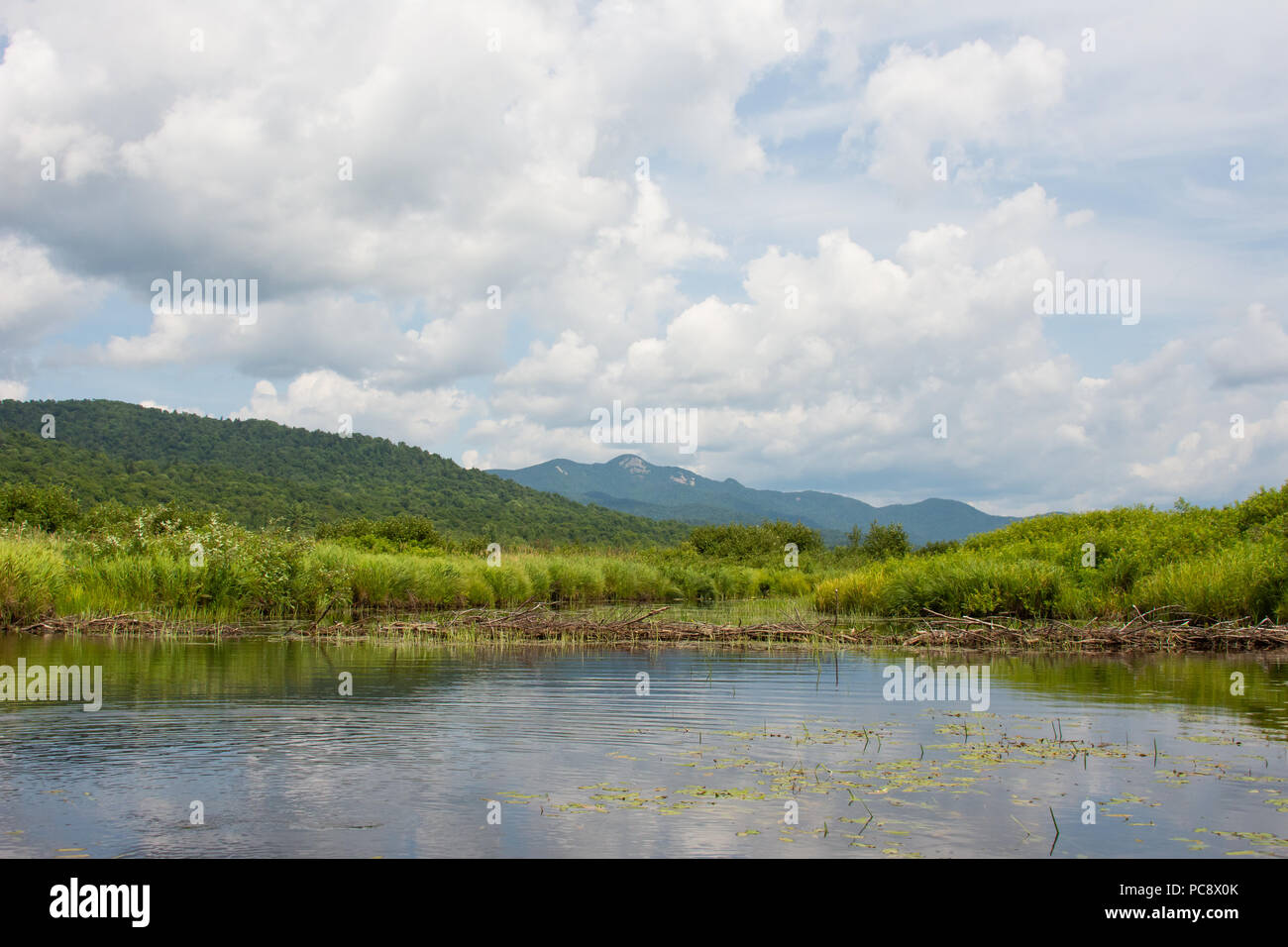 A Beaver Dam sul fiume Miami in Montagne Adirondack, con una vista della montagna innevata in distanza. Foto Stock