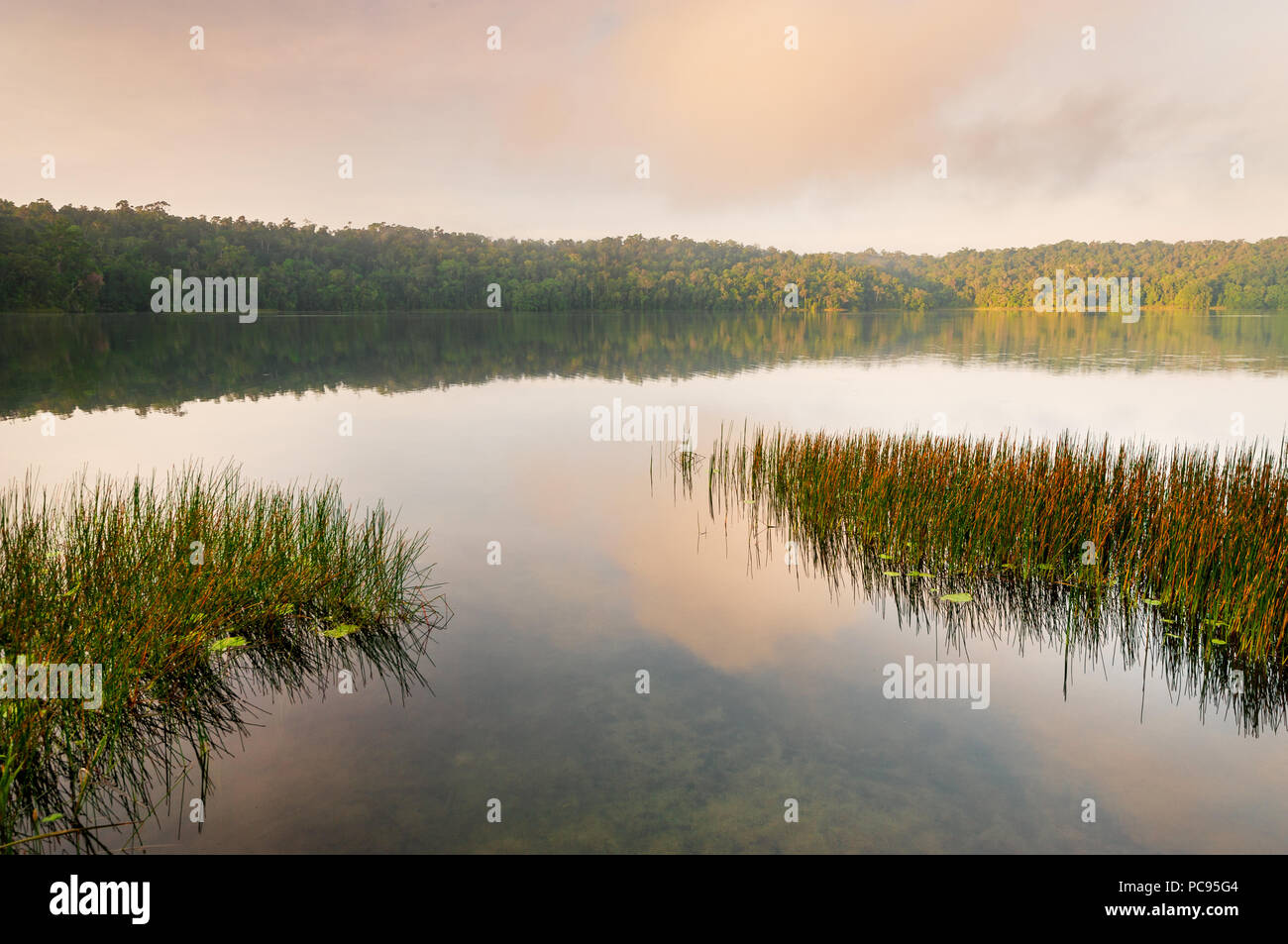 Lago Barrine nella prima luce del giorno. Foto Stock