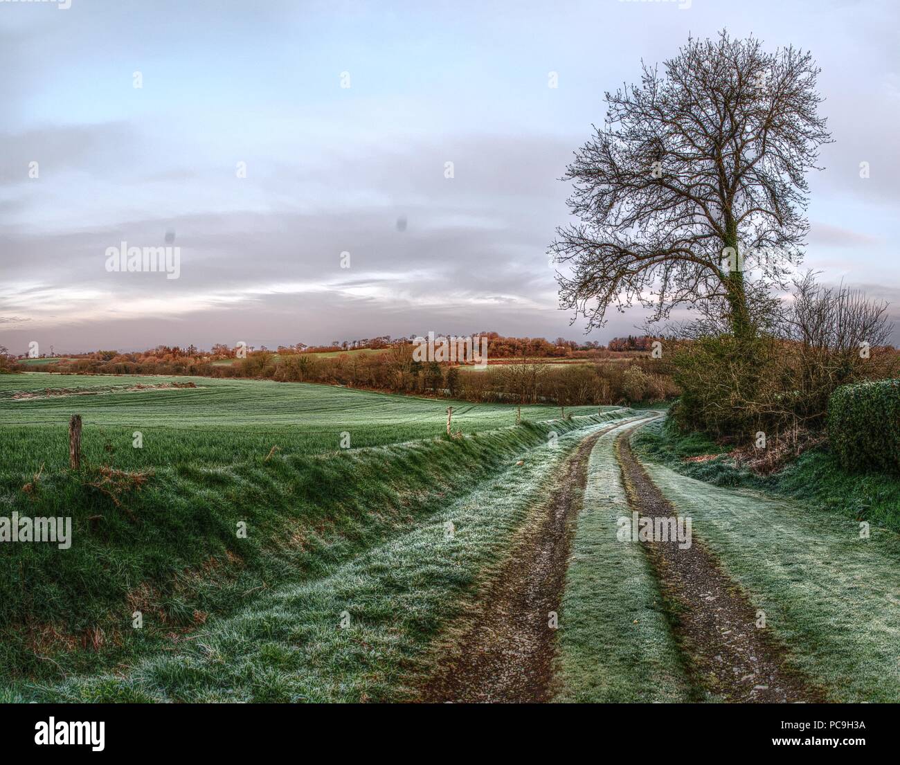 Campagna bretone nella luce della sera, La Chapelle-Neuve Foto Stock