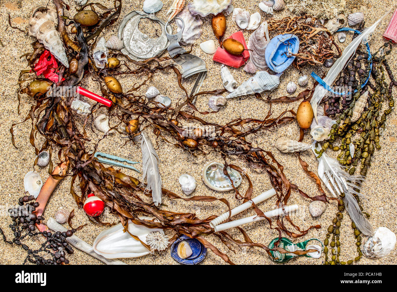 Plastica reale inquinamento che si trova sulla spiaggia con spiaggia naturale di alghe e conchiglie, spazio per il testo Foto Stock