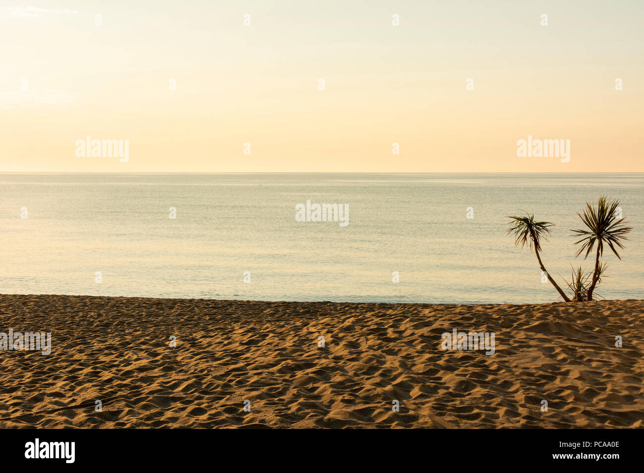Spiaggia di Le Barcarès, Pyrenees-Orientales Reparto, Occitanie, Francia Foto Stock