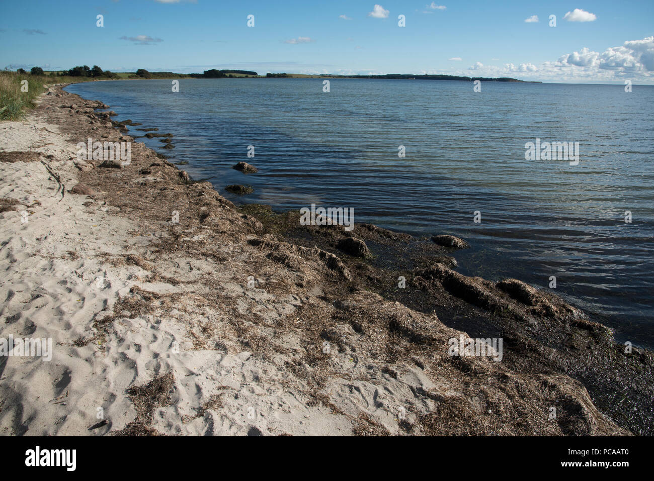 Una stretta e sabbiosa spiaggia rocciosa si estende lungo la baia di Stresow nel sud-est di Ruegen isola nel mar Baltico nel nord-est della Germania. Foto Stock