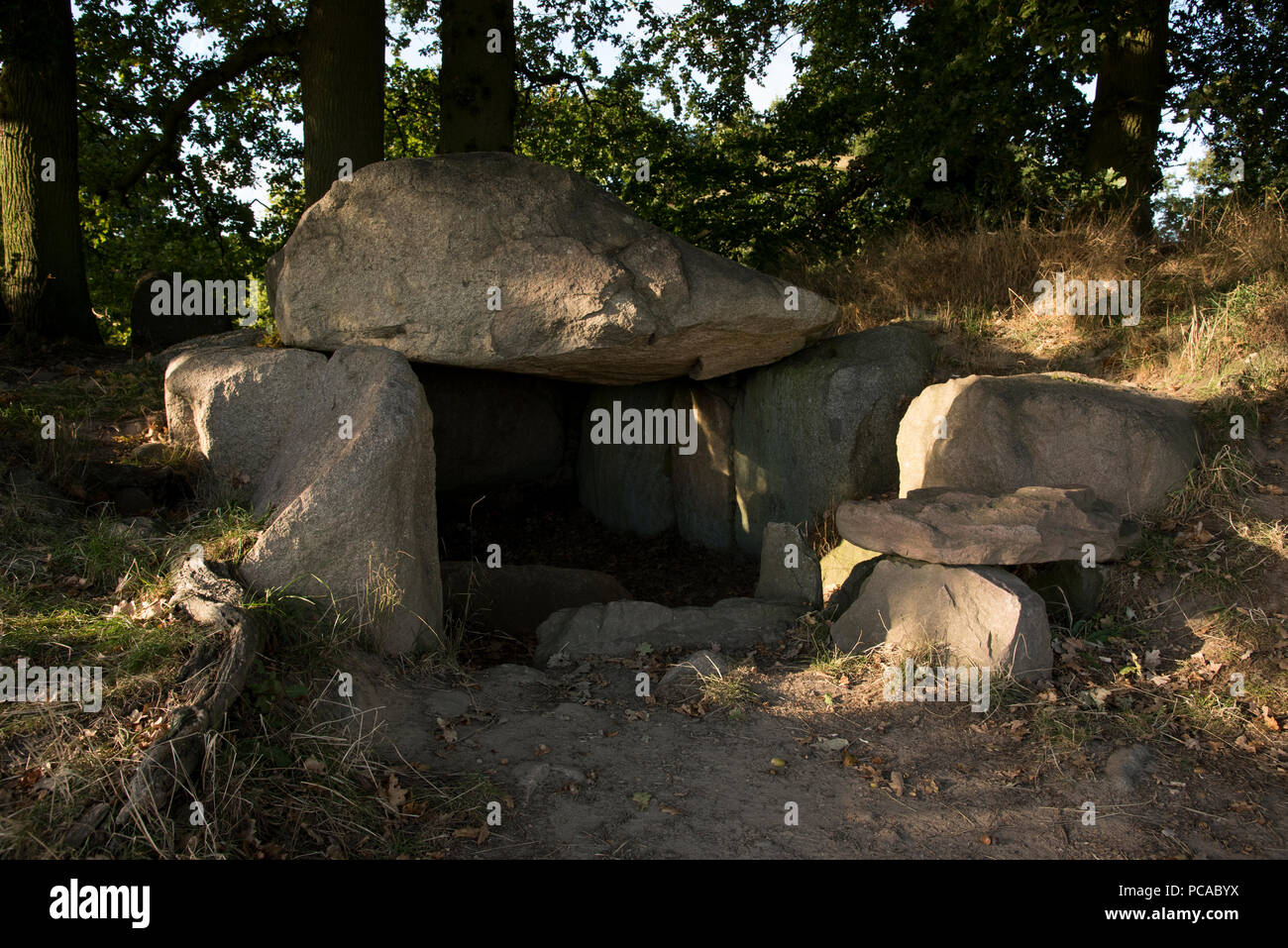 Anno 5500 vecchio grande megalitici dolmen vicino Lancken-Granitz nel sud-est di Ruegen isola nel mar Baltico nel nord-est della Germania. Foto Stock