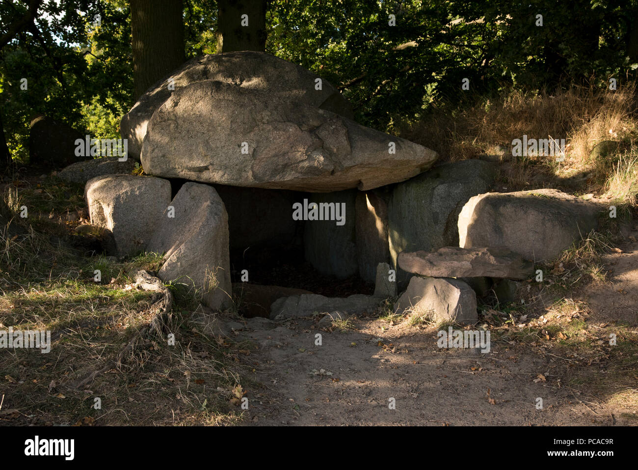 Anno 5500 vecchio grande megalitici dolmen vicino Lancken-Granitz nel sud-est di Ruegen isola nel mar Baltico nel nord-est della Germania. Foto Stock