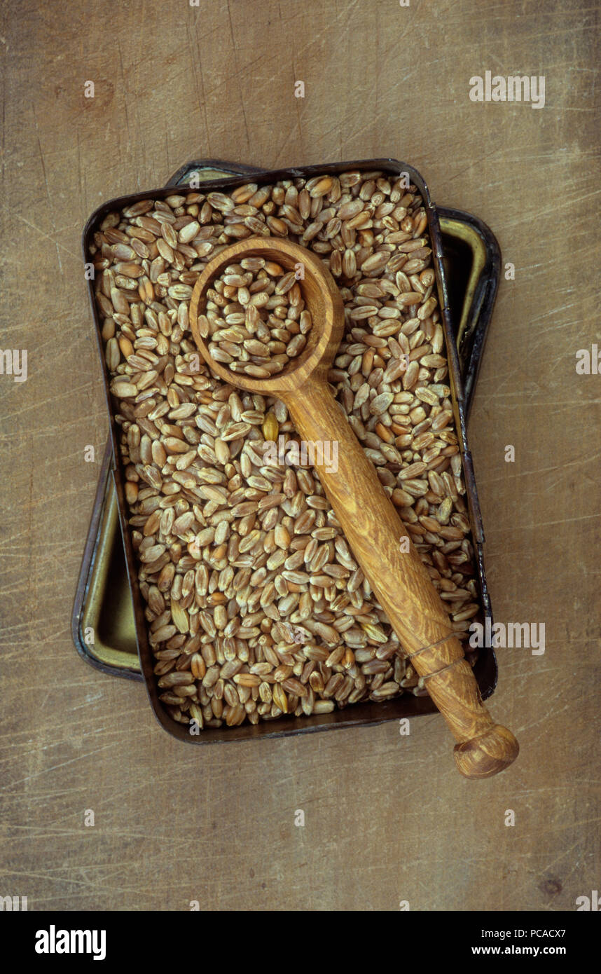 La scatola di ottone contenente grani di grano con cucchiaio in legno Foto Stock
