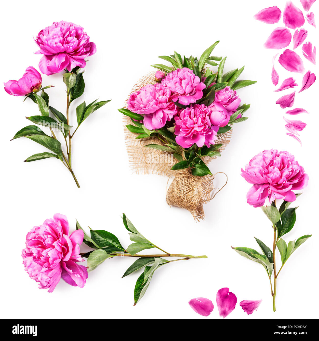 Rosa peonia fiori, petali e bouquet con tela di iuta di raccolta del tessuto. Gruppo di oggetti isolati su sfondo bianco. Fiori e design e Foto Stock