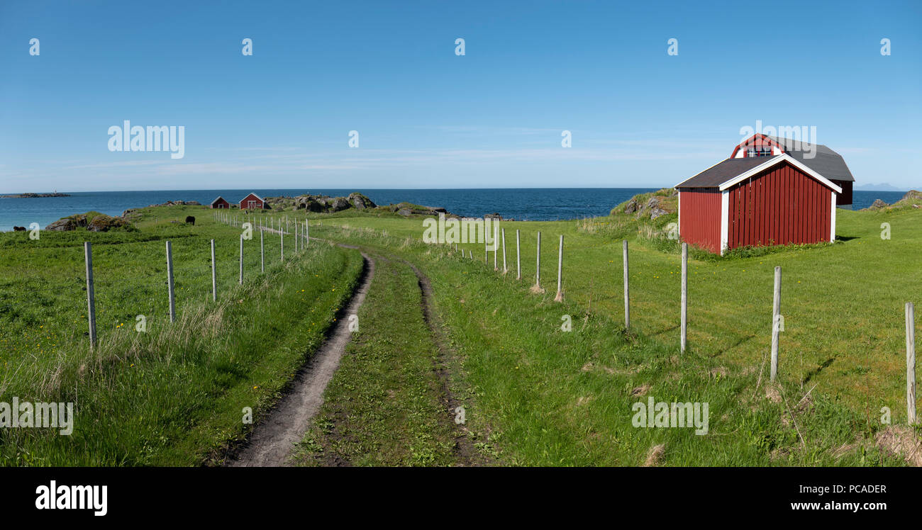 Traccia di erba giù al mare nei pressi di Hov Hestegård, Norvegia Foto Stock