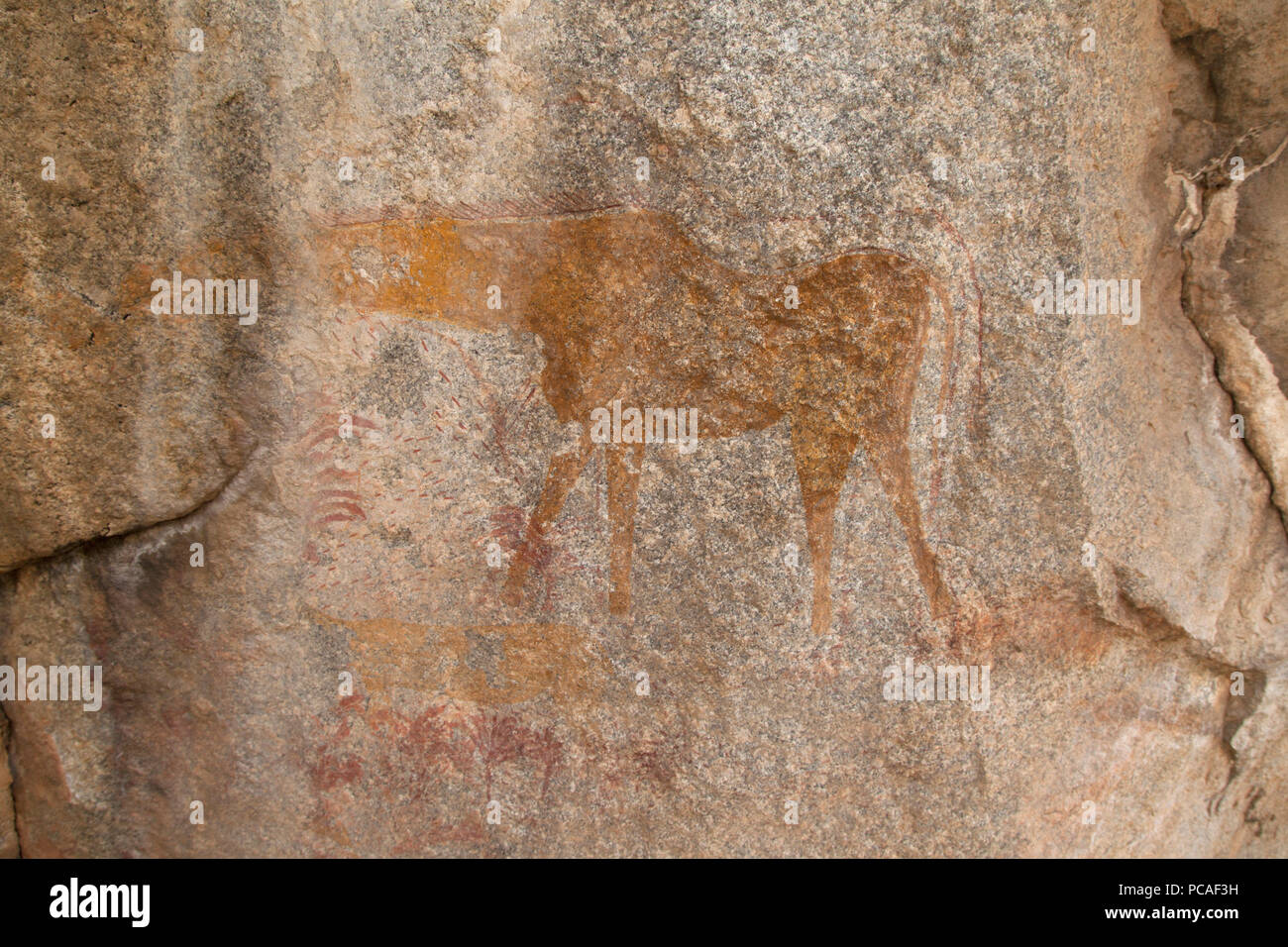 Antica arte rupestre di un dipinto raffigurante un animale, a Matobo National Park, Zimbabwe Africa Foto Stock
