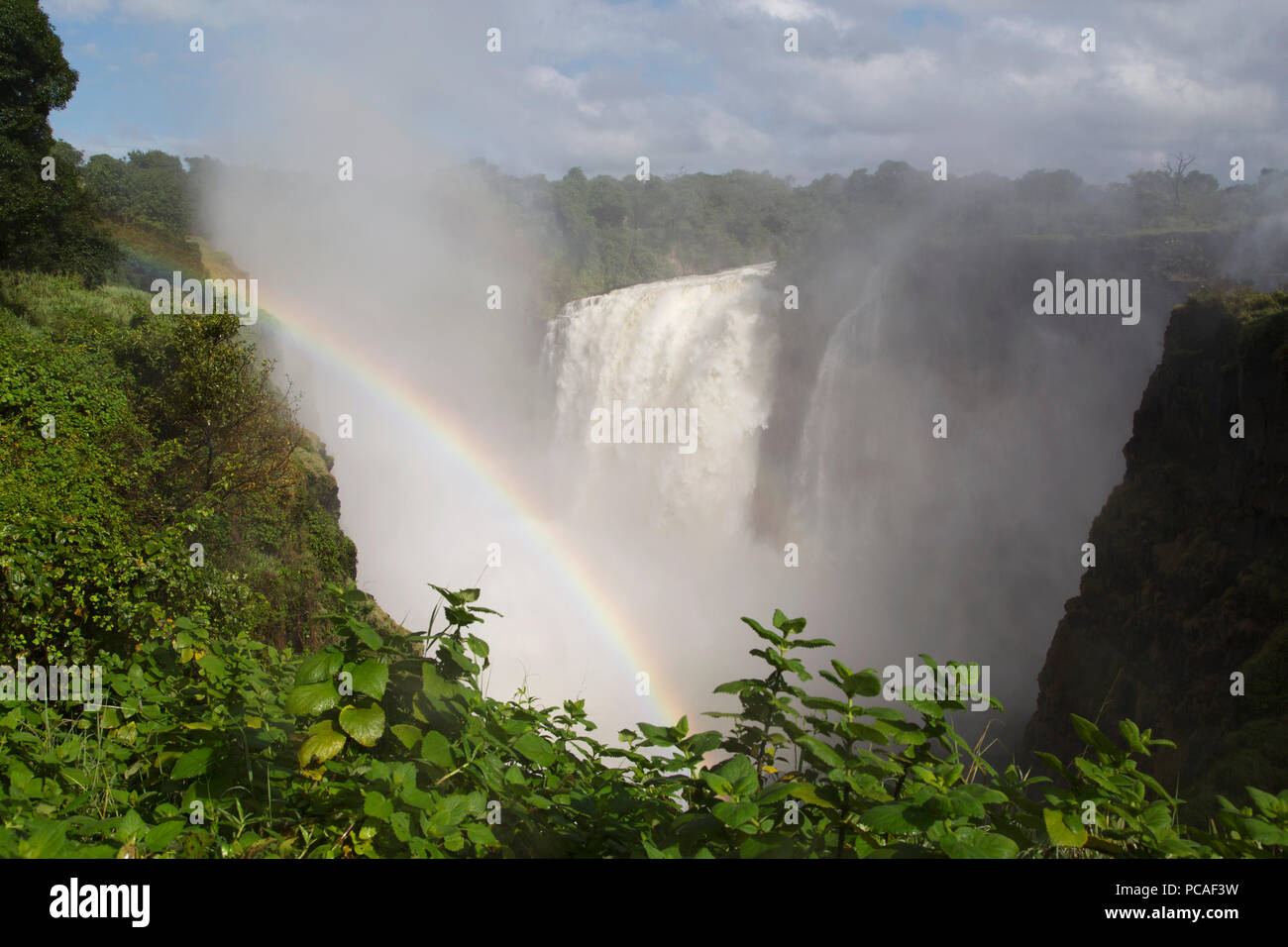 Un arcobaleno in spray da Victoria Falls cascata (Mosi-oa-Tunya), il Sito Patrimonio Mondiale dell'UNESCO, al confine con lo Zimbabwe e Zambia, Africa Foto Stock