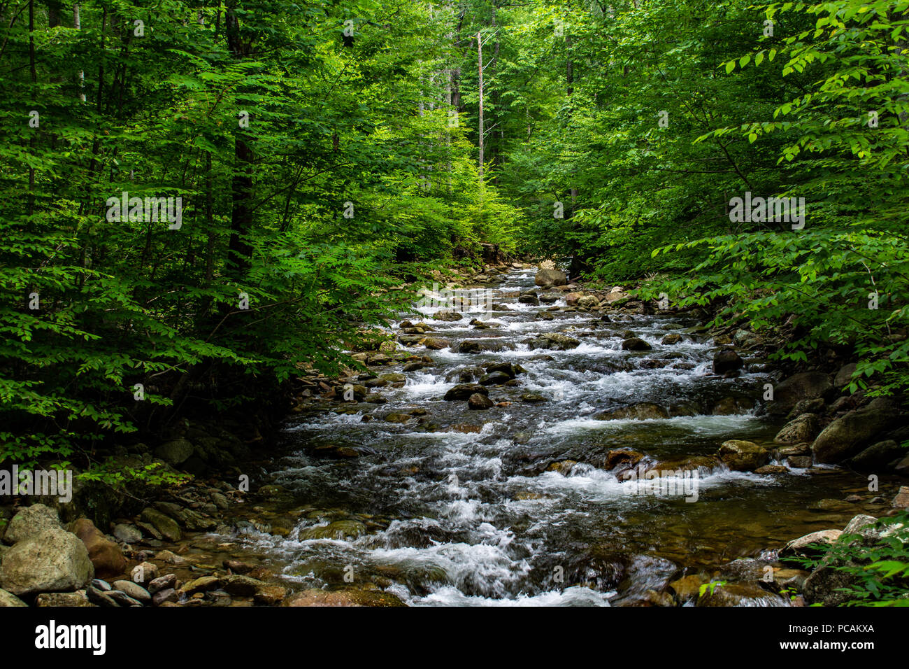 Bellissima Scena di fiume nel parco nazionale di Shenandoah Foto Stock