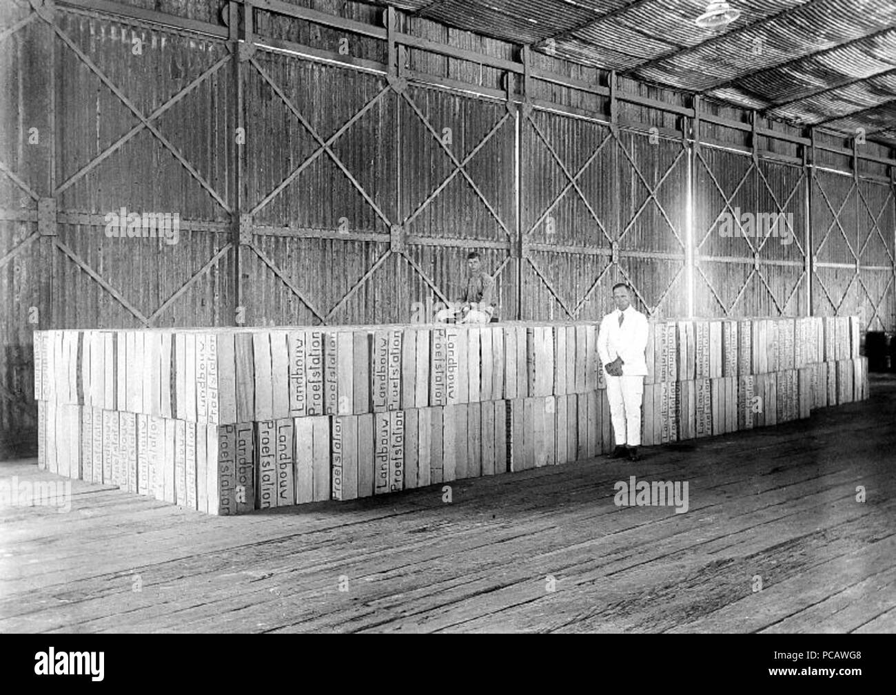 64 De kisten incontrato sinaasappels opgestapeld staan en Klaar voor de export - Collectie stichting Nationaal Museum van Wereldculturen - TM-10018933 Foto Stock