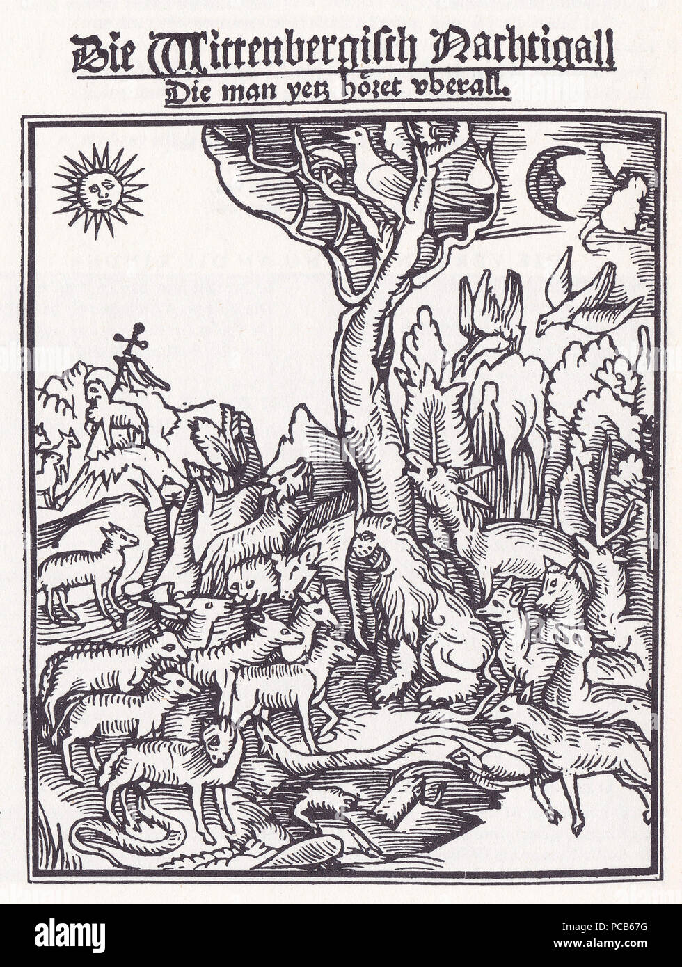 163 Die Wittenbergisch Nachtigall Foto Stock