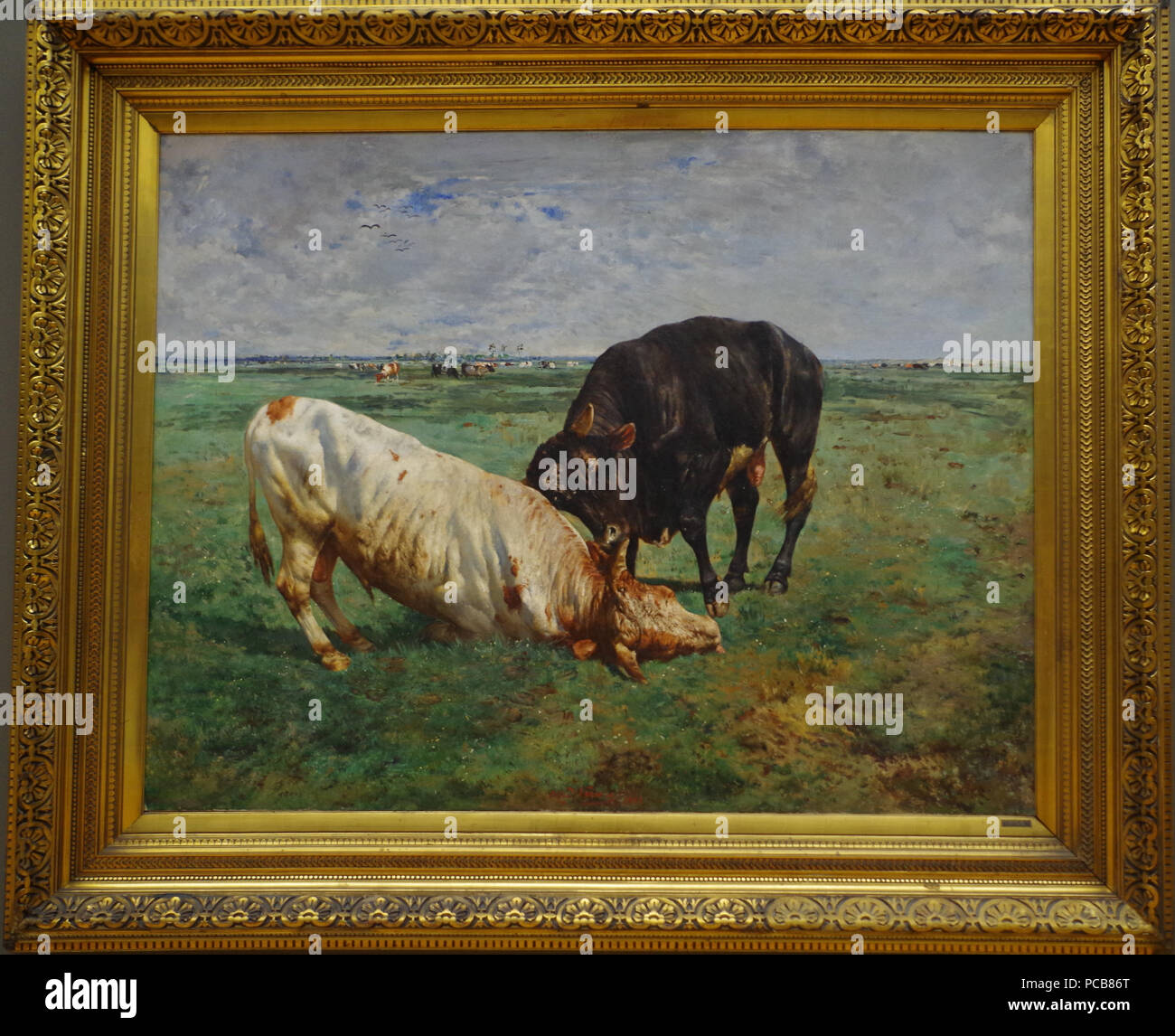 243 Gevecht tussen twee jonge stieren Alfred Verwee 1883 Foto Stock