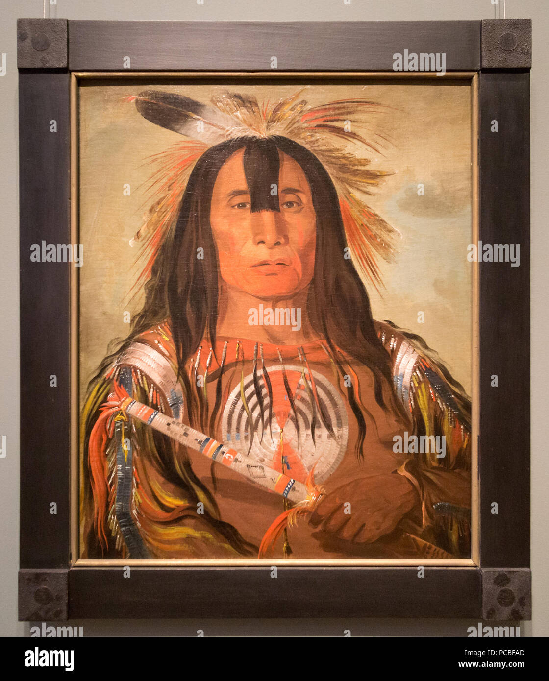 82 Smithsonian-Catlin-Stu-mick-o-súcks-Buffalo tori grasso dorsale-2075 Foto Stock