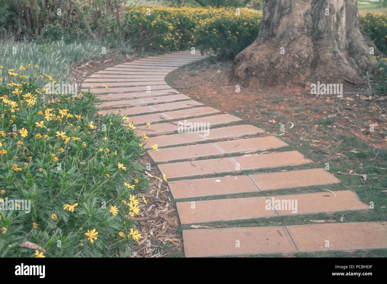 Paesaggio del giardino di Kunming, in Cina Foto Stock