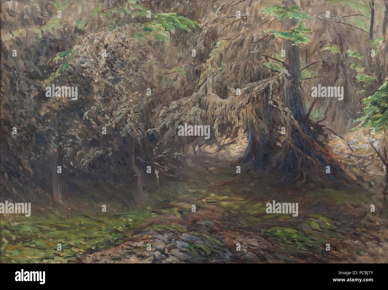 66 Axel Fahlcrantz, Skogslandskap, 1921 Foto Stock