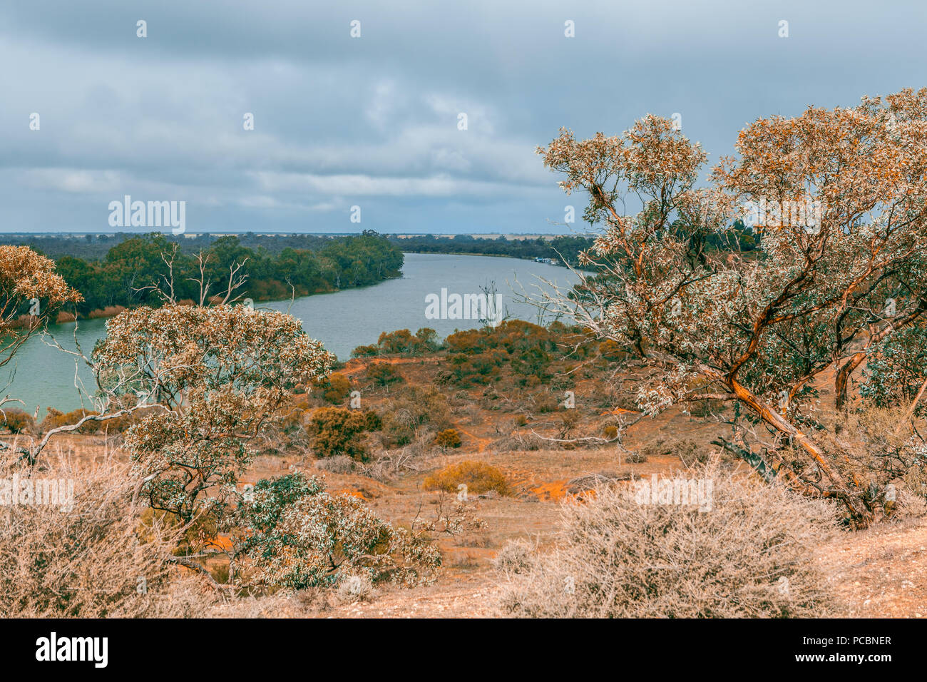 Fiume Murray e vegetazione nativa su nuvoloso giorno Foto Stock